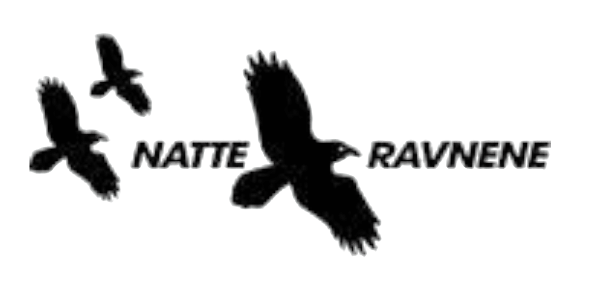 Natteravn
